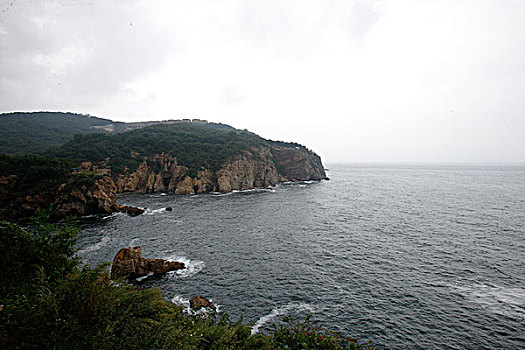 soi cau bach kim mien phi