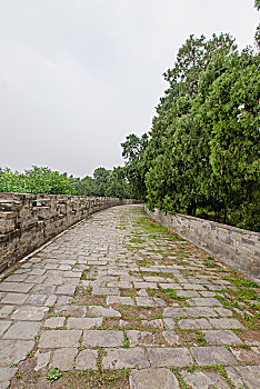 bach thu lo xien