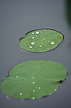 xổ số an giang hôm nay