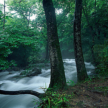xổ số keno