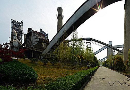 soi lô bạch thủ hôm nay