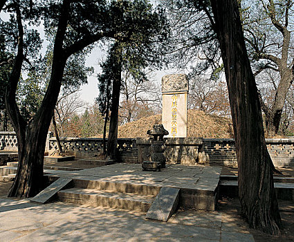 xs đà nẵng