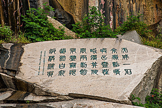 xs g lai