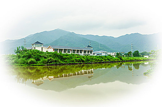 du doan bach thu lo