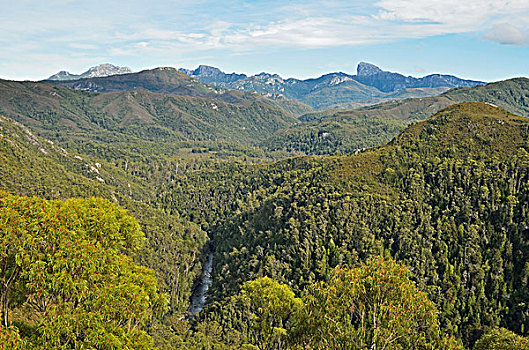 soi cau lo de rong bach kim