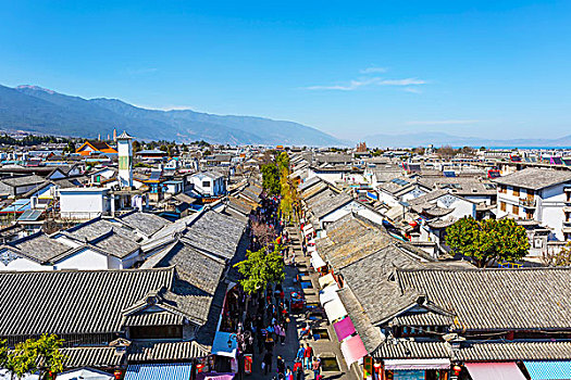 cầu lô 100 ngày