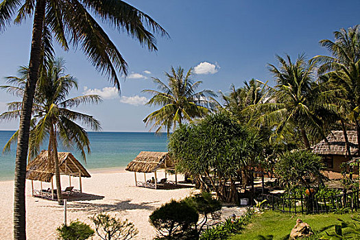 soi cau minh ngoc