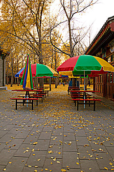 xổ số kon tum hôm nay