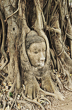 xsmb thu tu hang tuan
