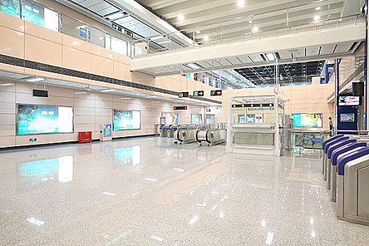 cầu bạch thủ miền bắc