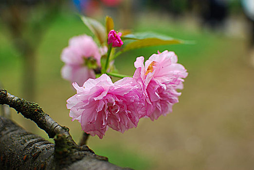 soi cầu 7777 hôm nay