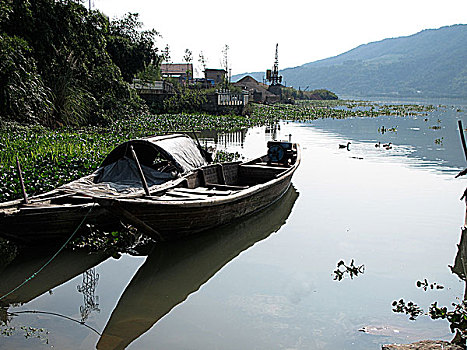 xs hậu giang