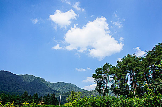 hoi lo de chuan