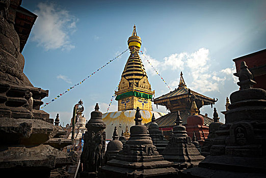 soi cau bach thu khung 3 ngay
