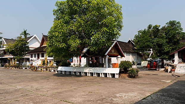 chốt số chuẩn