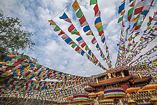 soi cau 247 khung3 ngay