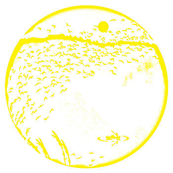 xổ