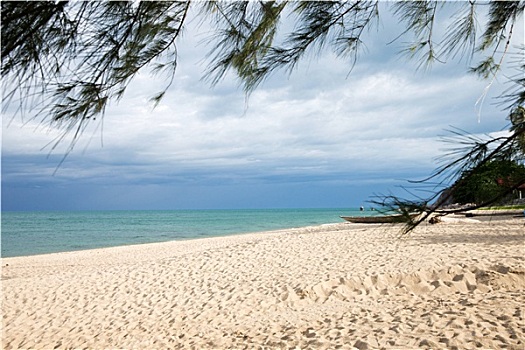 soi cau lo bach thu rong bach kim