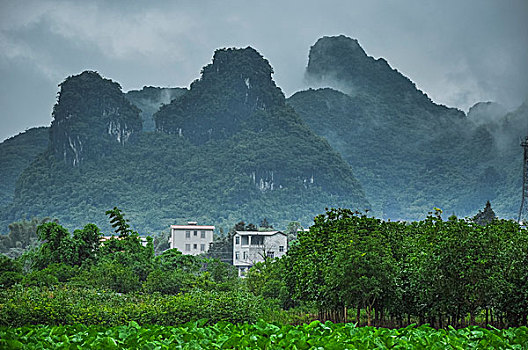 soi cau bach thu xsmb mien phi hom nay