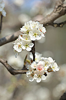 thống kê kết quả xổ số miền bắc 2019