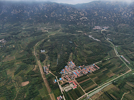 soi lo bạch thủ