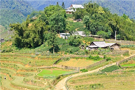 soi cau vietcom