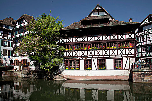 du doan ba mien