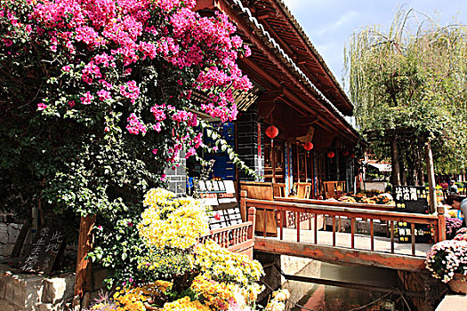 soi cau chinh xac