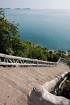 soi cầu nét