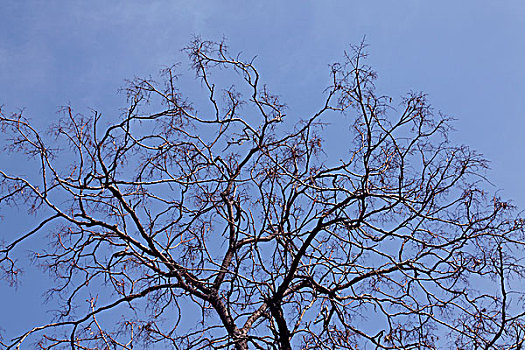 cách đánh đề đầu đuôi