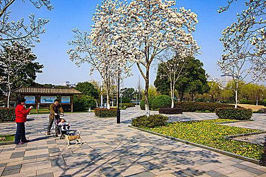 xổ số vĩnh long