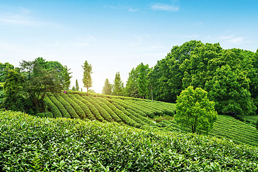 soi cầu lô win2888