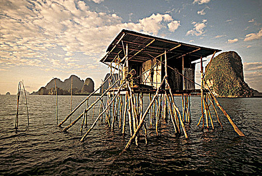 soi cau m trung