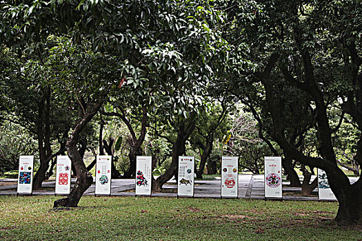 soi cau thuan vu 286