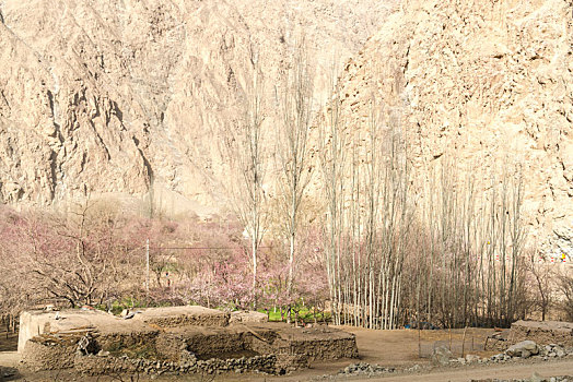 bach thu kep hom nay