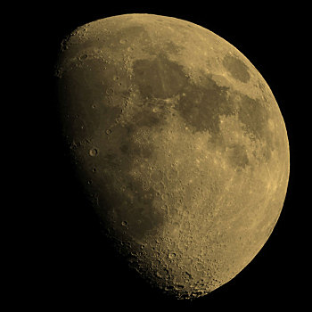 soi câu 888