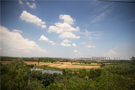 soi cau sh88