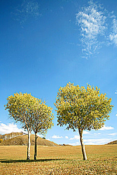 dự đoán bình định