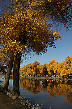 dò số hôm nay