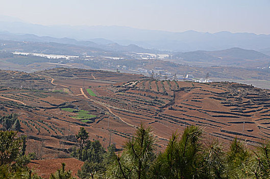 xổ số hcm