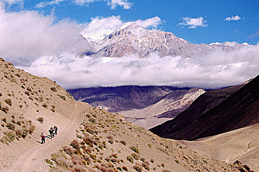 soi cau bach thu lo khung 3 ngay