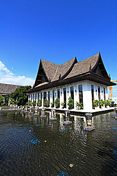 lo bạch thủ hôm nay