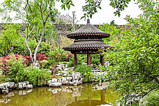 soi cầu kép