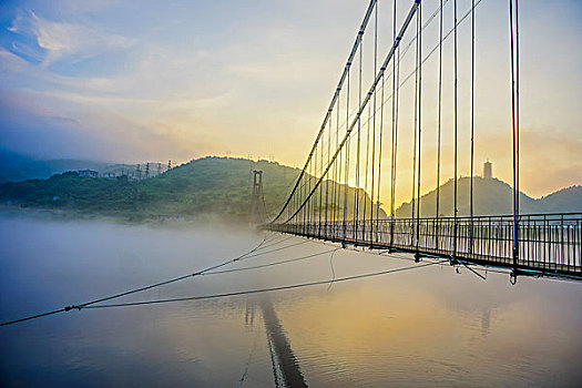 lo rong bạch kim