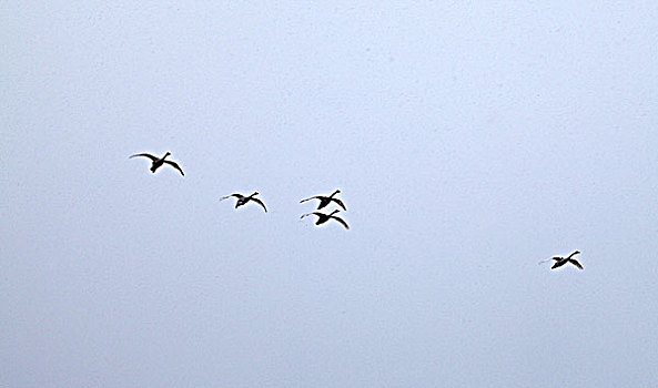 du doan xsag lo de