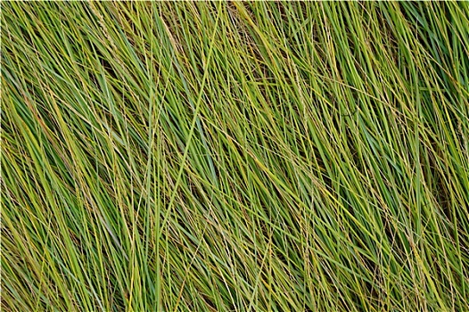thống kê soi cầu xổ số miền bắc