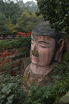 soi câu lô bach thu
