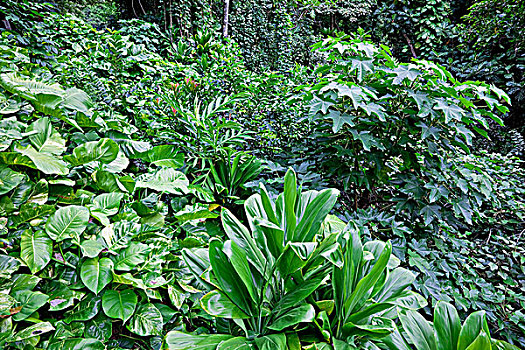 dự đoán xổ số