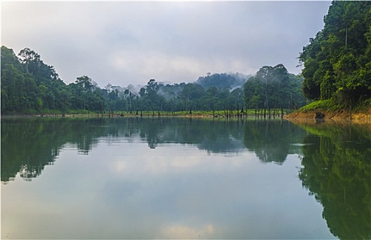 du doan mb rong bach kim