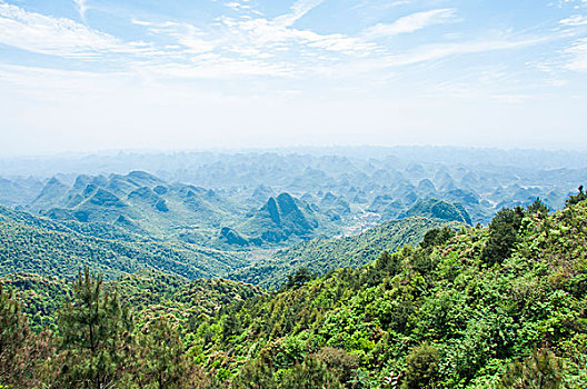 soi cầu bach thủ